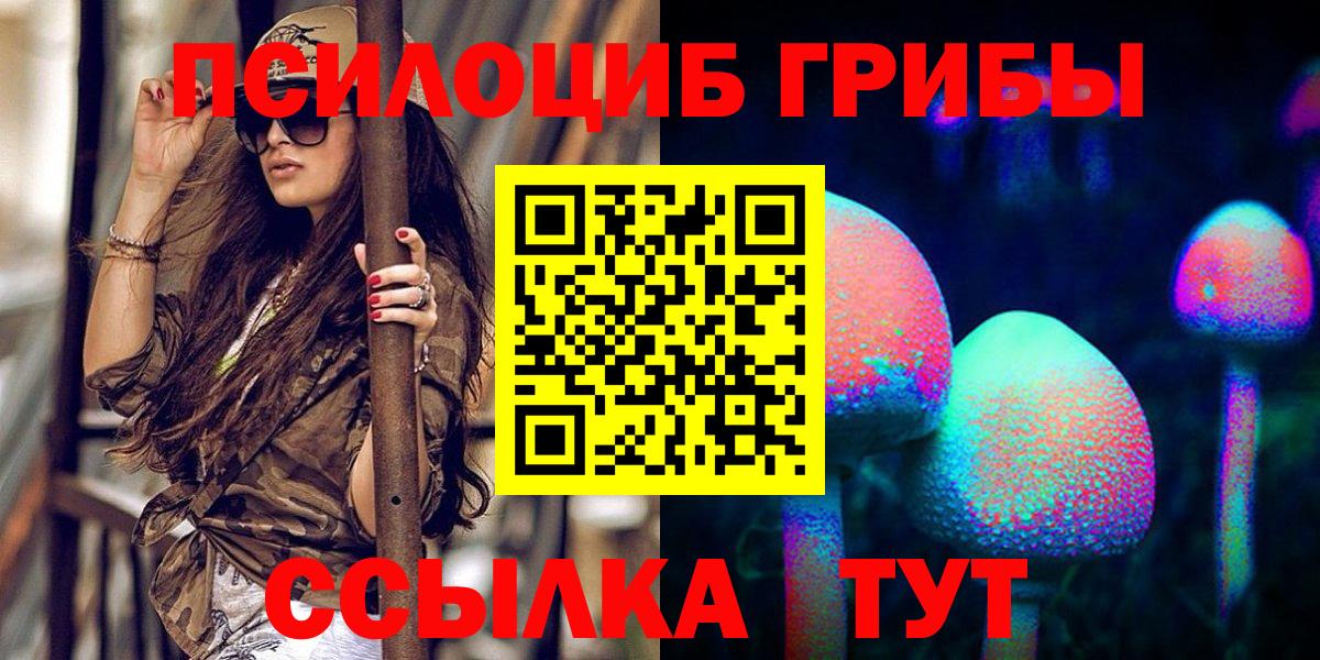 Псилоцибиновые грибы мицелий Балабаново