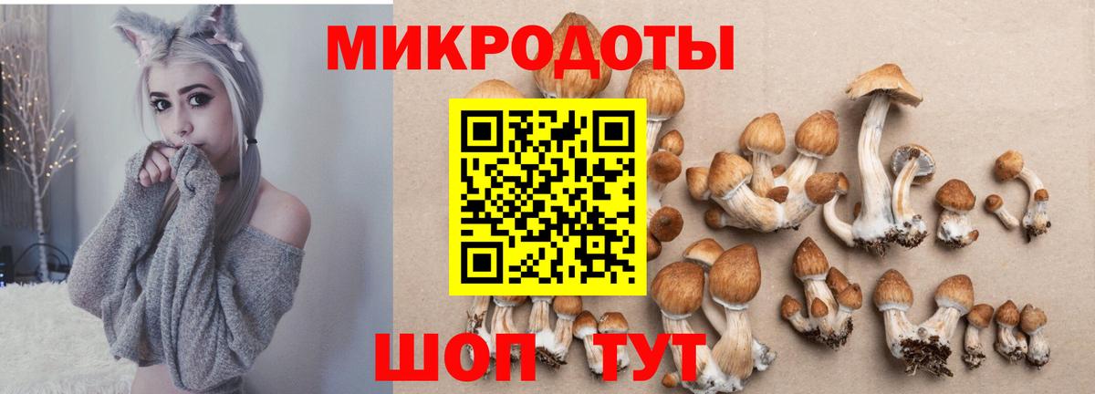 Псилоцибиновые грибы прущие грибы  Вход с VPN  наркота  Балабаново 